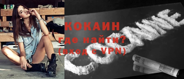 прущие грибы Богородск