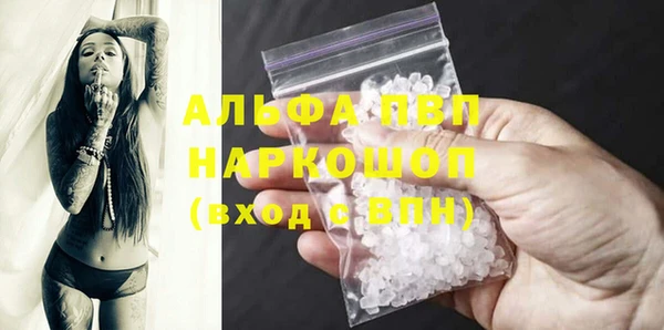 прущие грибы Богданович