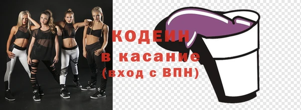прущие грибы Богданович