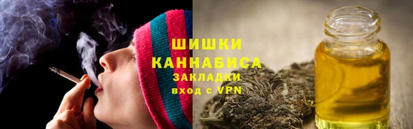 прущие грибы Богданович