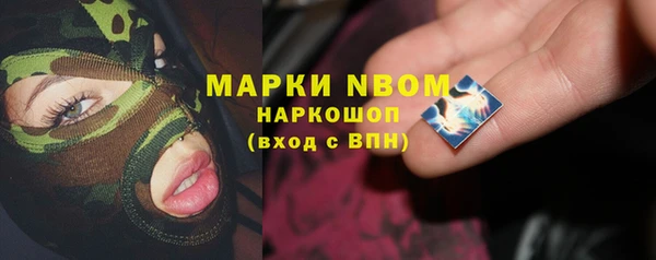 прущие грибы Богданович