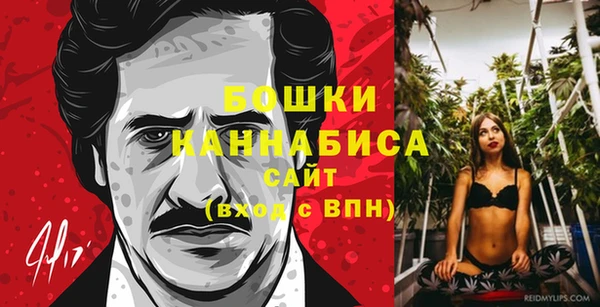 прущие грибы Богородск