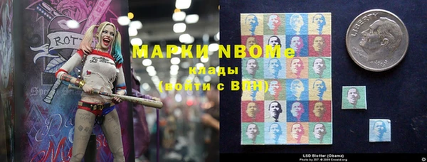 прущие грибы Богданович