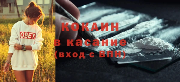 мдпв Богородицк