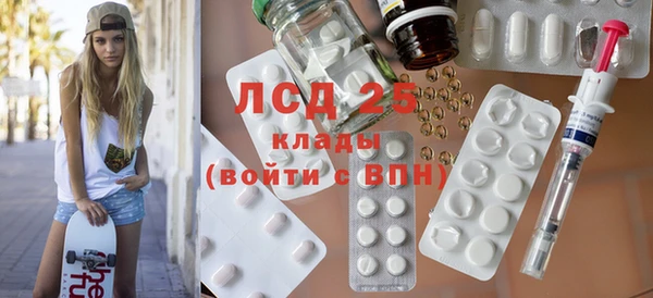 прущие грибы Богданович