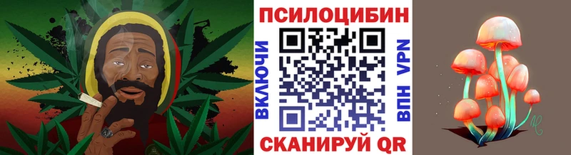 Галлюциногенные грибы MAGIC MUSHROOMS  Качканар 